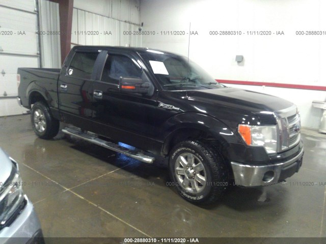 FORD F-150 2013 1ftfw1ef0dkf19801