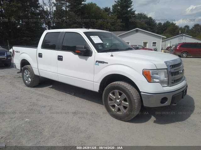 FORD F-150 2013 1ftfw1ef0dkf92828