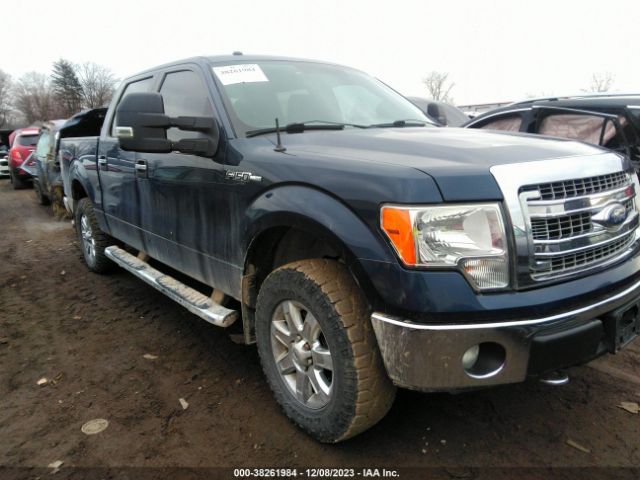 FORD F-150 2014 1ftfw1ef0efa39154