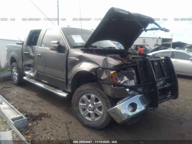 FORD F-150 2014 1ftfw1ef0efa75202