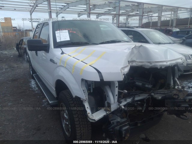 FORD F-150 2014 1ftfw1ef0efa95594