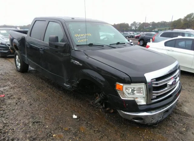 FORD F-150 2014 1ftfw1ef0efb21465