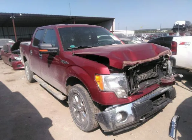 FORD F-150 2014 1ftfw1ef0efb34507