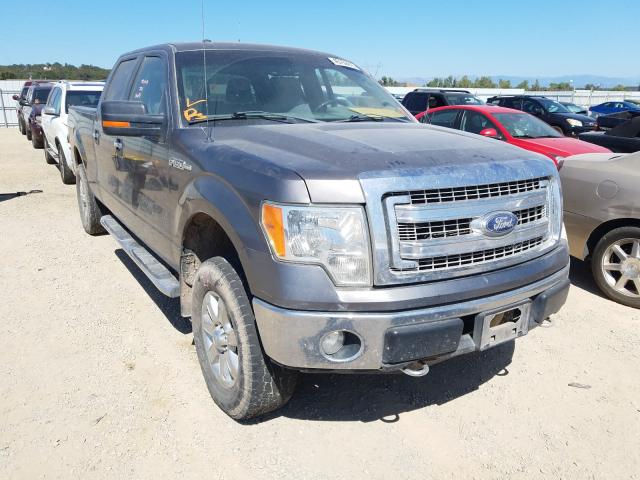 FORD F-150 2014 1ftfw1ef0efc73536