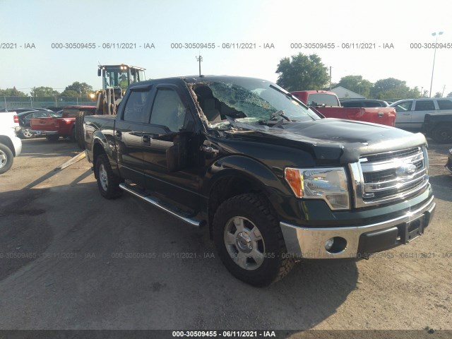 FORD F-150 2014 1ftfw1ef0ekg16062