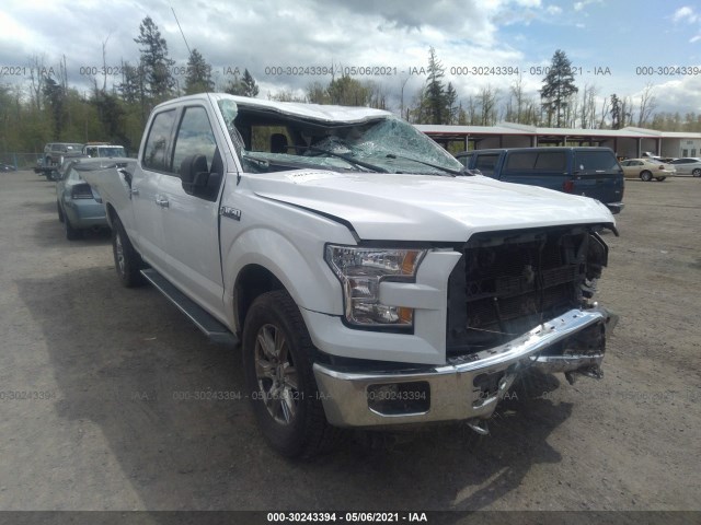 FORD F-150 2015 1ftfw1ef0ffb14436