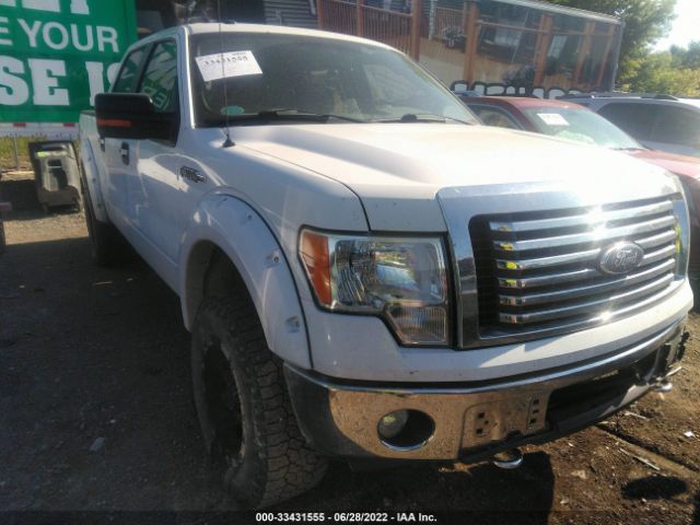 FORD F-150 2011 1ftfw1ef1bfb41591