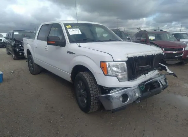 FORD F-150 2011 1ftfw1ef1bfc13762