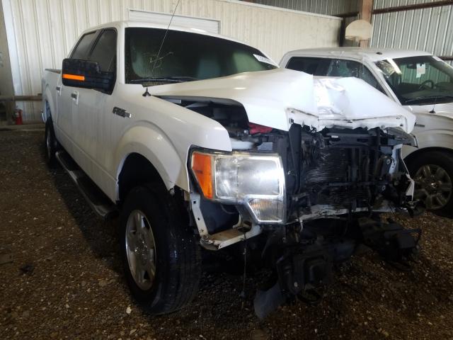 FORD F150 SUPER 2011 1ftfw1ef1bfc28097