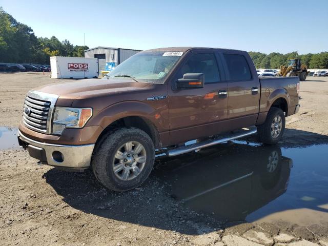 FORD F150 SUPER 2011 1ftfw1ef1bfc44784