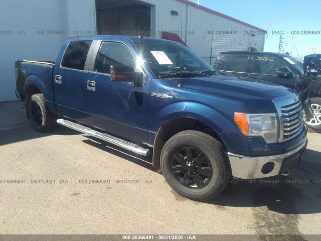 FORD F-150 2011 1ftfw1ef1bfc96416