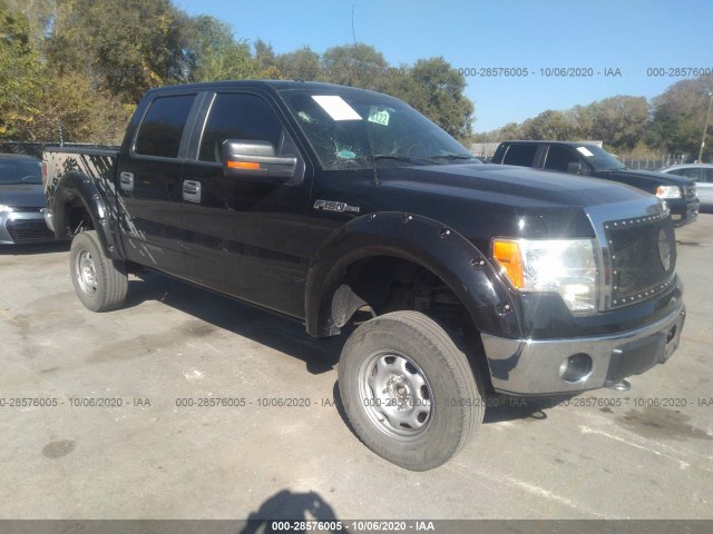 FORD F-150 2011 1ftfw1ef1bfd28815