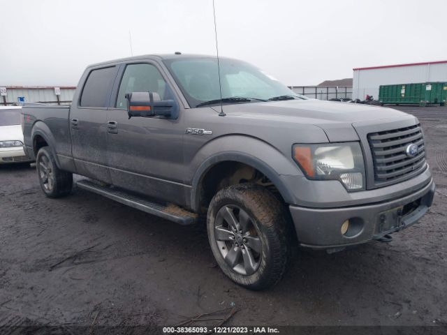 FORD F-150 2011 1ftfw1ef1bfd34503