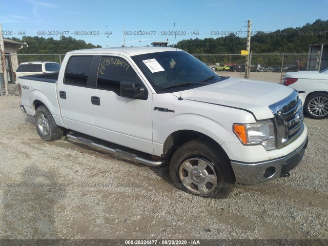 FORD F-150 2012 1ftfw1ef1cfa21033