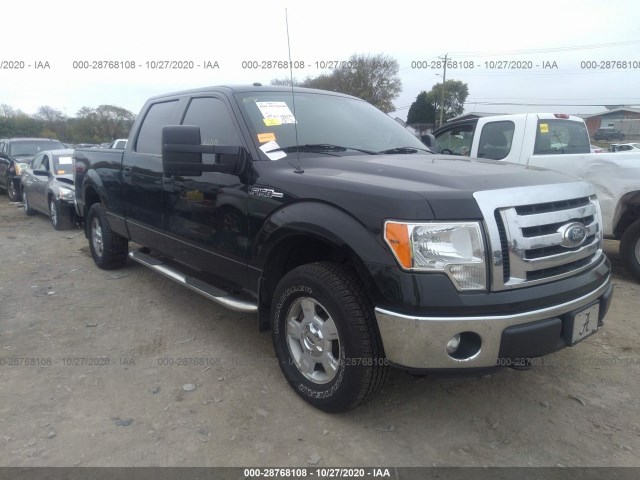 FORD F-150 2012 1ftfw1ef1cfb04073