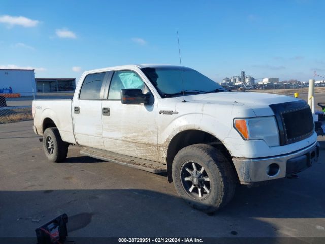 FORD F-150 2012 1ftfw1ef1cfb87844