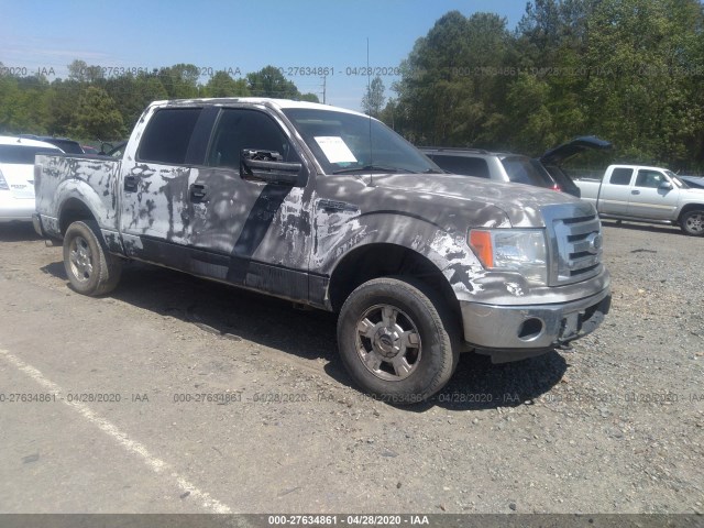 FORD F-150 2012 1ftfw1ef1cfb99198