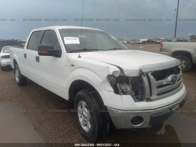 FORD F-150 2012 1ftfw1ef1cfc29803