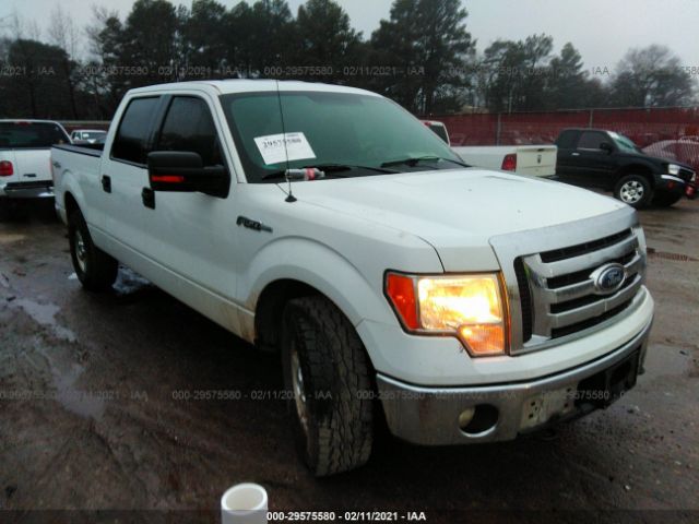 FORD F-150 2012 1ftfw1ef1cfd02068