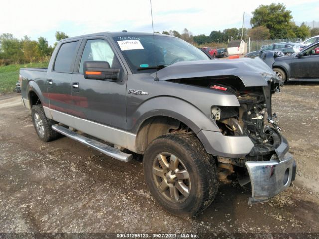 FORD F-150 2013 1ftfw1ef1dfa00894