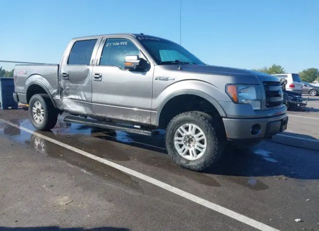 FORD F-150 2013 1ftfw1ef1dfa40568