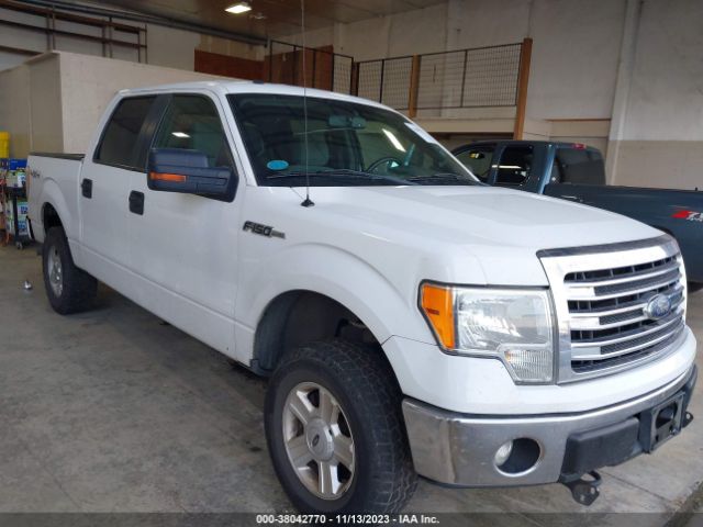 FORD F-150 2013 1ftfw1ef1dfa48542