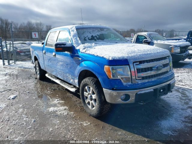 FORD F-150 2013 1ftfw1ef1dfa55572