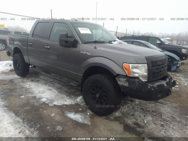 FORD F-150 2013 1ftfw1ef1dfa82576