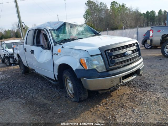 FORD F-150 2013 1ftfw1ef1dfb06679