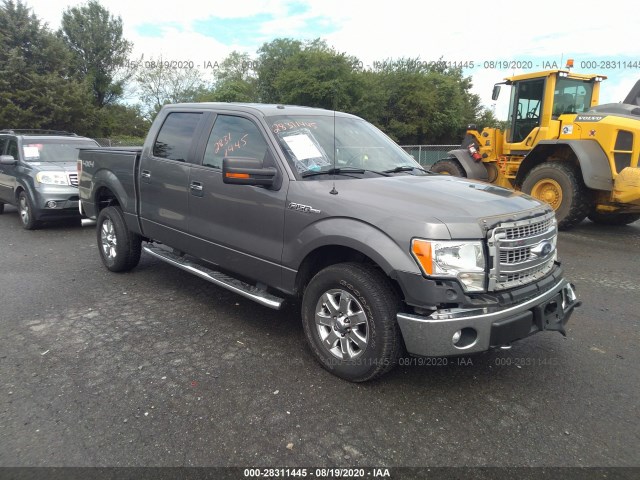 FORD F-150 2013 1ftfw1ef1dfb07704