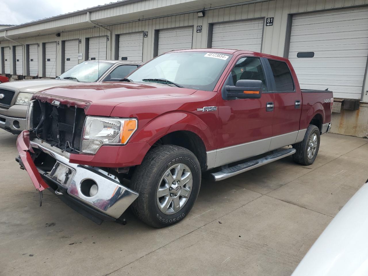 FORD F-150 2013 1ftfw1ef1dfb28682