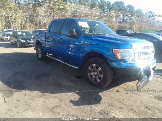 FORD F-150 2013 1ftfw1ef1dfb43067