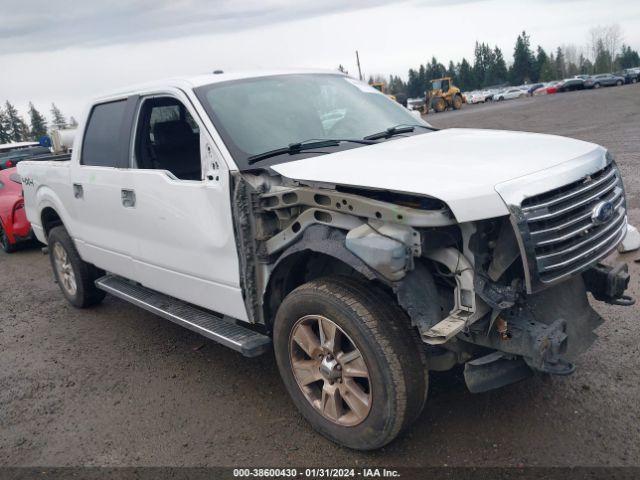 FORD F-150 2013 1ftfw1ef1dfc58493