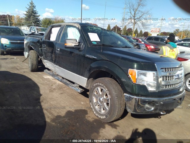 FORD F-150 2013 1ftfw1ef1dfd07126