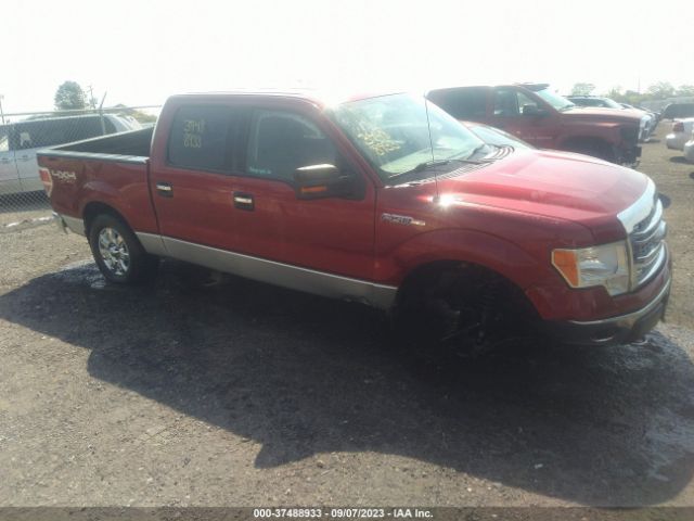 FORD F-150 2013 1ftfw1ef1dfd30664