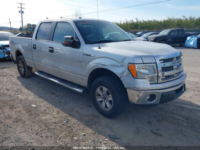 FORD F-150 2013 1ftfw1ef1dfd36495