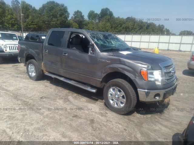 FORD F-150 2013 1ftfw1ef1dfd36934