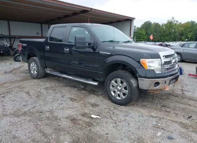 FORD F-150 2013 1ftfw1ef1dfd77936