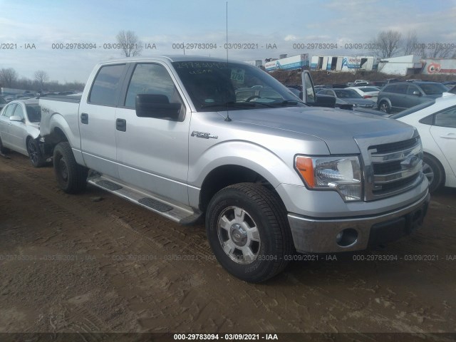 FORD F-150 2013 1ftfw1ef1dke99042