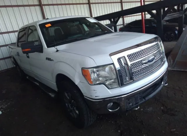 FORD F-150 2013 1ftfw1ef1dkf60521