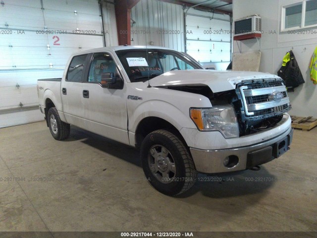 FORD F-150 2014 1ftfw1ef1efa45125