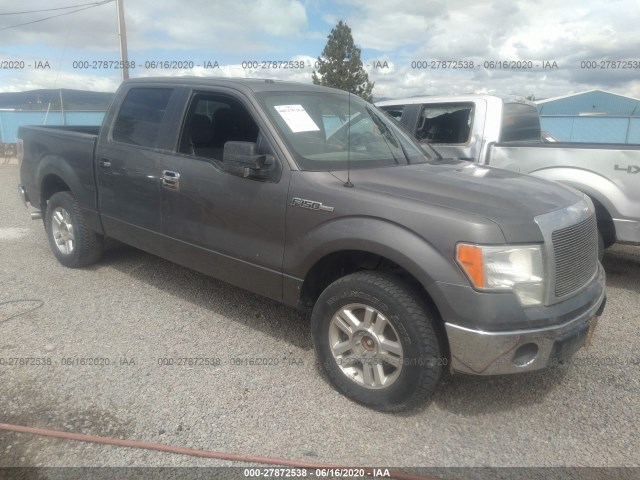 FORD F-150 2014 1ftfw1ef1efb88446