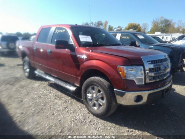 FORD F-150 2014 1ftfw1ef1ekd08026