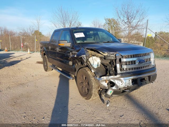 FORD F-150 2014 1ftfw1ef1ekf88773