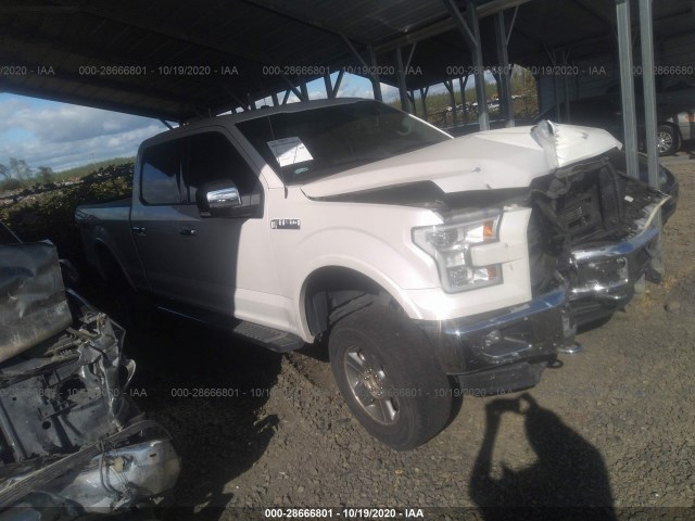 FORD F-150 2017 1ftfw1ef1hkc07301