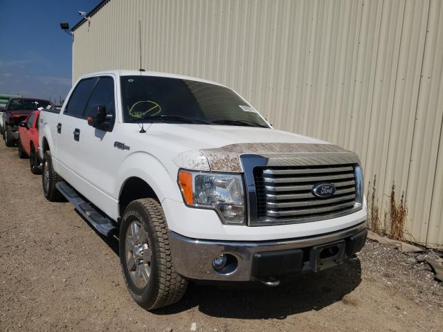 FORD F150 SUPER 2011 1ftfw1ef2bfc48438