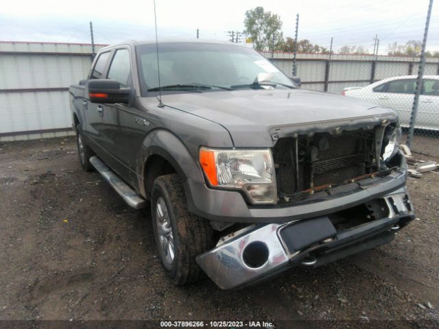 FORD F-150 2012 1ftfw1ef2cfb01859