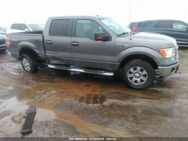 FORD F-150 2012 1ftfw1ef2cfb12893