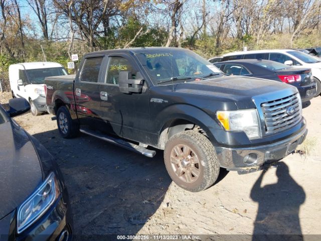 FORD F-150 2012 1ftfw1ef2cfb25904