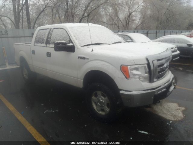 FORD F-150 2012 1ftfw1ef2cfb48390